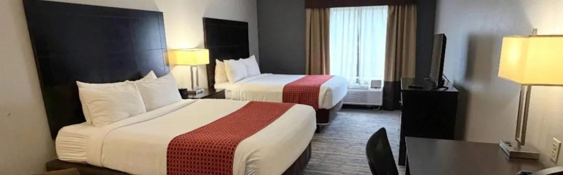 Comfort Inn & Suites Tampa North I-75