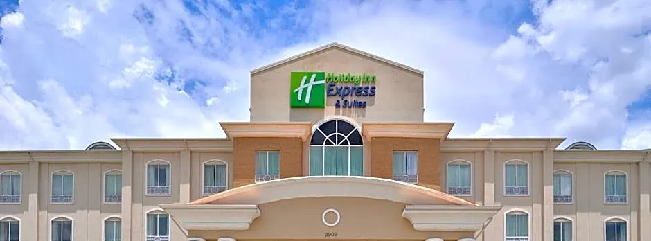Holiday Inn Express Hotel & Suites Sherman Highway 75 By IHG