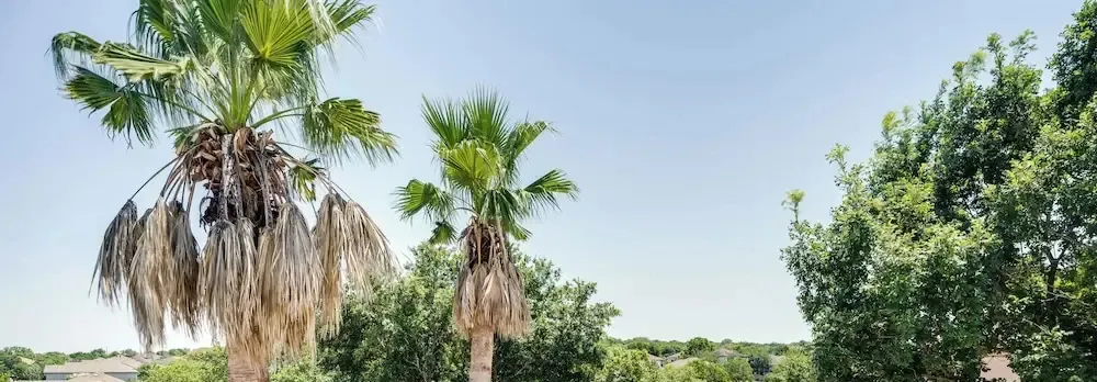 Luxe San Antonio Vacation Rental w/ Private Pool!