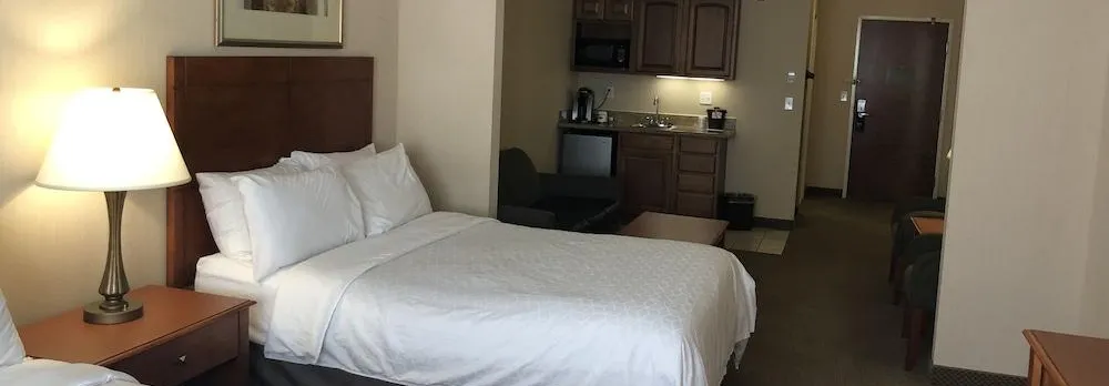 Holiday Inn Express & Suites Lansing-Dimondale