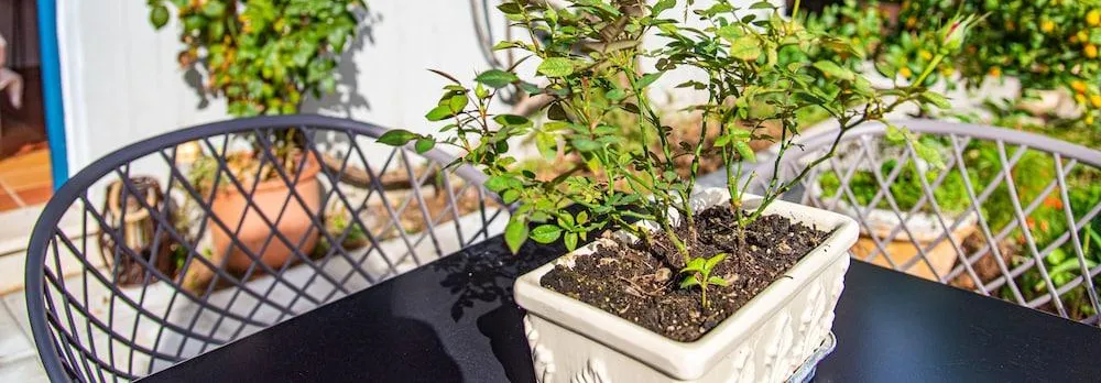 Barbati Boutique Studio