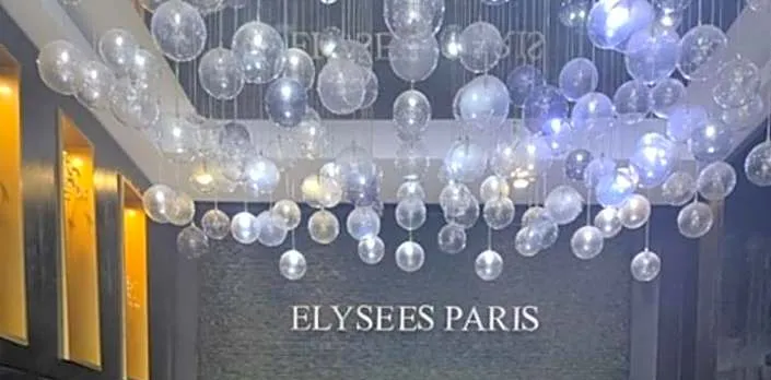 Hotel Elysees Paris