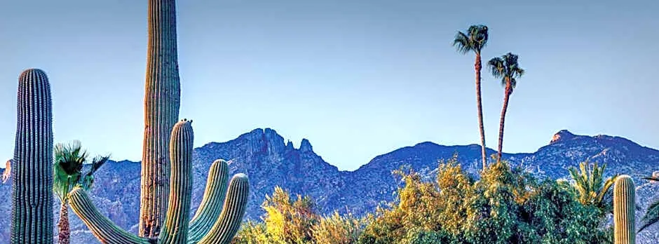 Hacienda del Sol Guest Ranch Resort