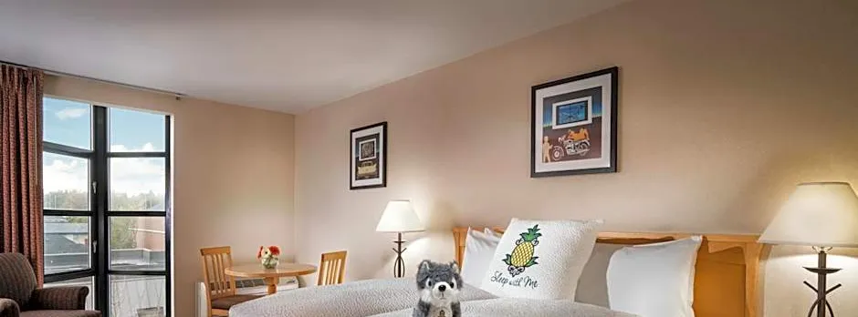 Staypineapple, University Inn, University District Seattle