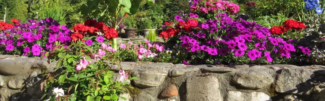 A Hidden Haven & Water Garden Cottages