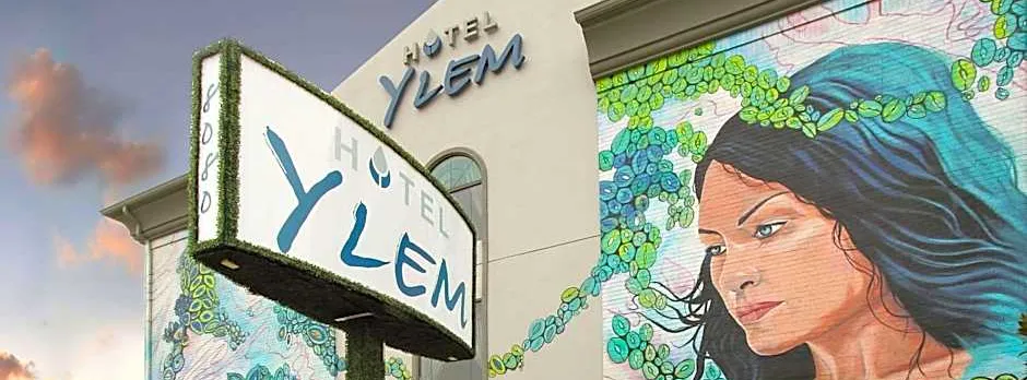 Hotel Ylem
