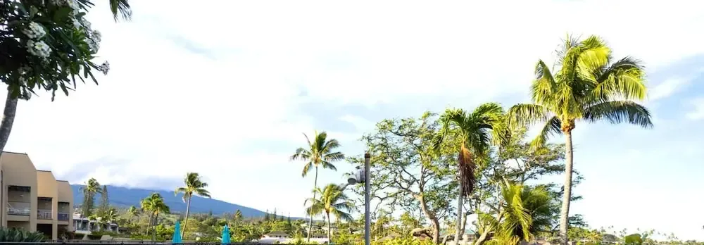 Napili Point 3 Free Rental Cars KBM Resorts Water Front 3 Units, 3 Bedrooms Ml-2579