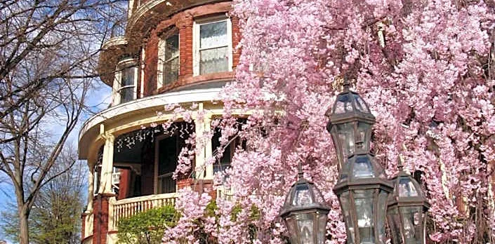 Wilson House Bed & Breakfast