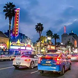 Los Angeles Cozy Vibe