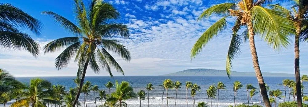 Hyatt Regency Maui Resort & Spa