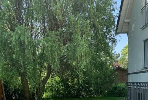 Fewo Mit Garten, Kamin U. Whirlpool