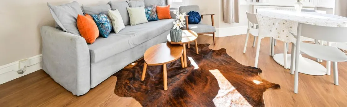 Newly Renovated 2-3 Bed Flat in Fulham by the Thames