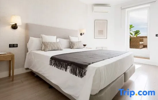 Penthouse with terrace in Madrid. Delicias II