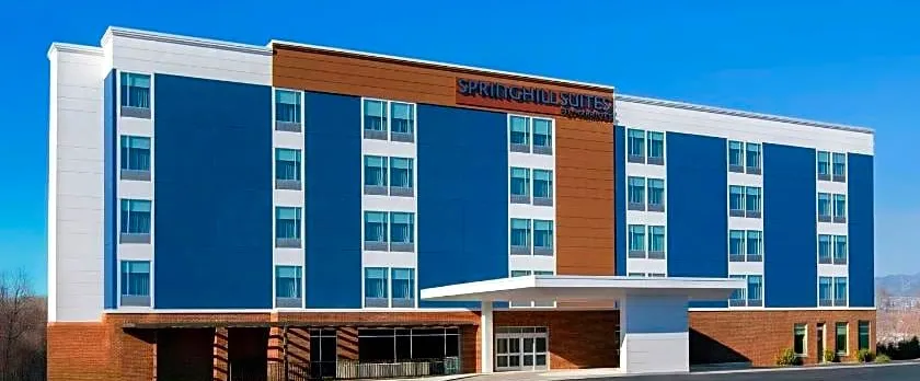 SpringHill Suites by Marriott Richmond Airport