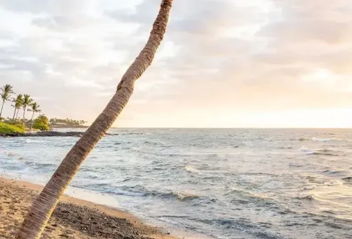 Sandy Toes Getaway in Kona