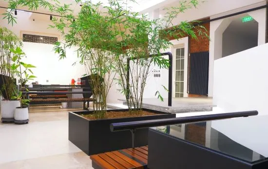 Genting Polomi Homestay (Beijing Songzhuang Art Market Ji'anzhen Hospital)