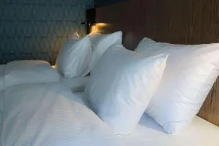 Radisson Udaipur