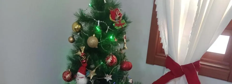 Aconchego Da Carol