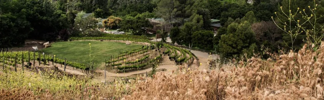 Calamigos Guest Ranch