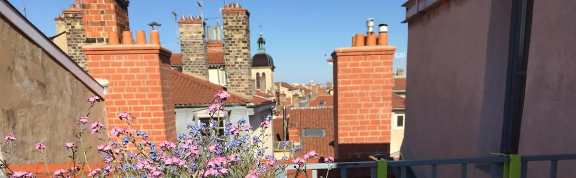 Les Toits de Lyon Au Coeur du Centre-Ville Tout a Pied