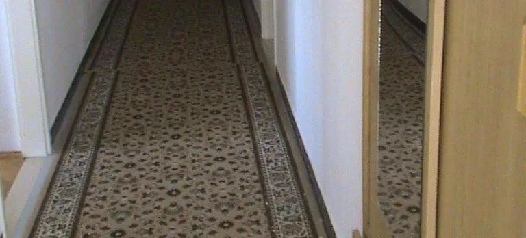 Apartment Ivy