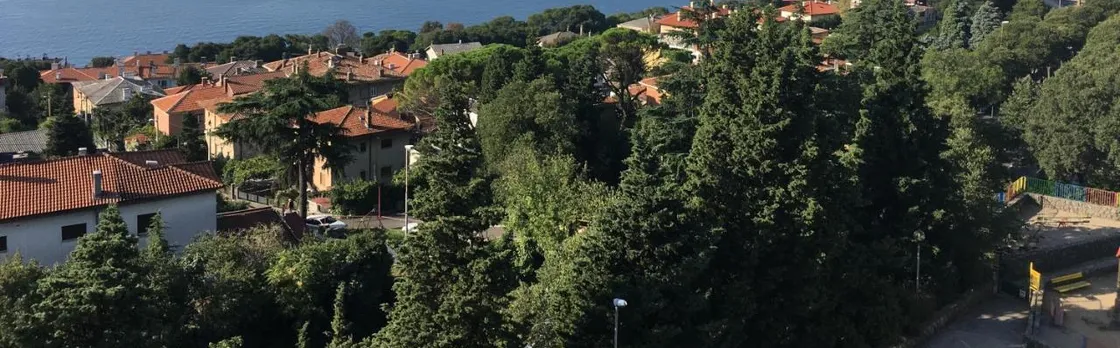 Studio Apartman Noa