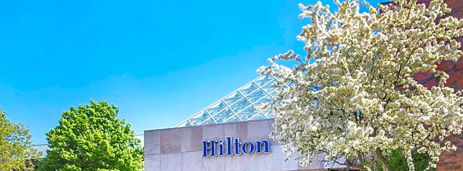 Hilton Boston/Dedham