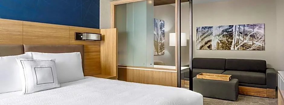 SpringHill Suites by Marriott Belmont Redwood Shores
