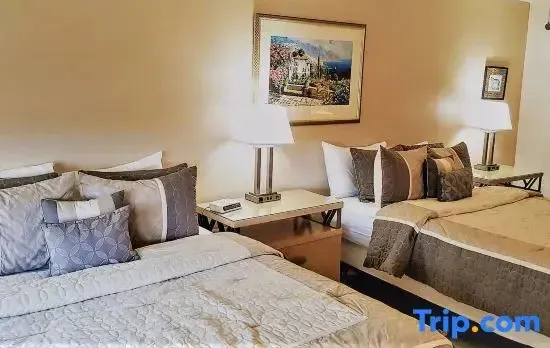 Miami Beach Large Unit w/ Pool & Beach access-1618