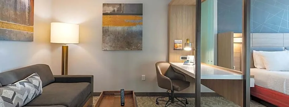 SpringHill Suites by Marriott Chattanooga South/Ringgold, GA