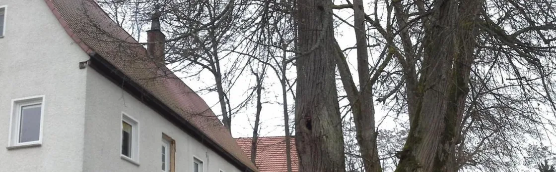 Gruner Baum Nurnberg Brunn