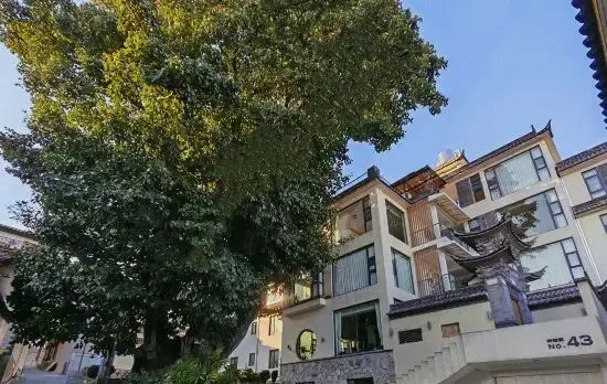 Tantu Inn (Dali Longweiguan Historical and Cultural District)