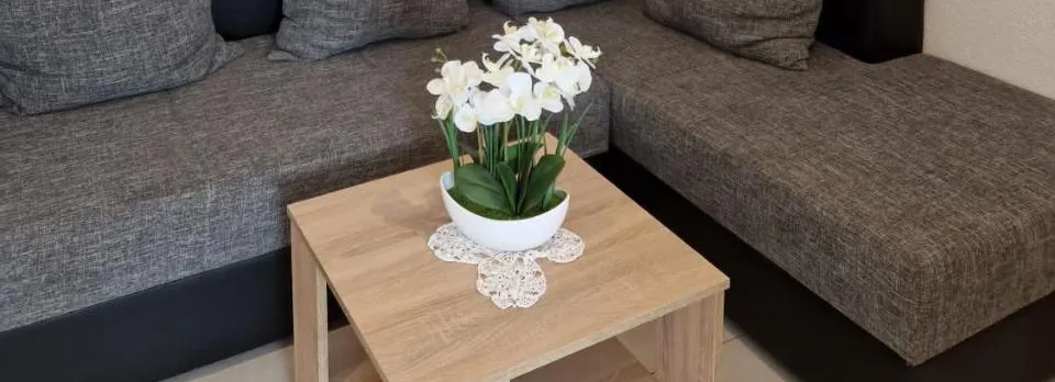 Apartment Vilic