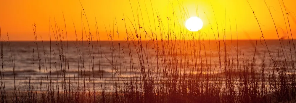 5 Genoa Court at The Sea Pines Resort