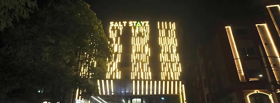 Saltstayz Premier - Naraina, Central Delhi