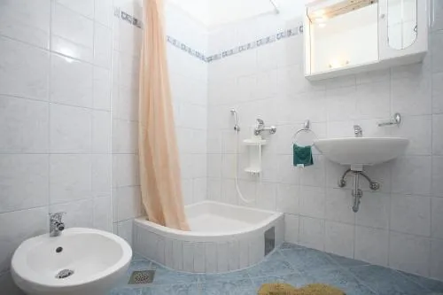 Apartment Mileta
