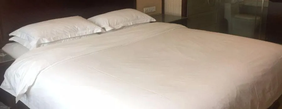 Shenzhen Vienna Hotel Nanxin Road Branch