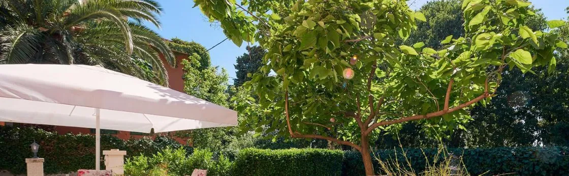 Apartment Bacvice Holiday with Free Parking