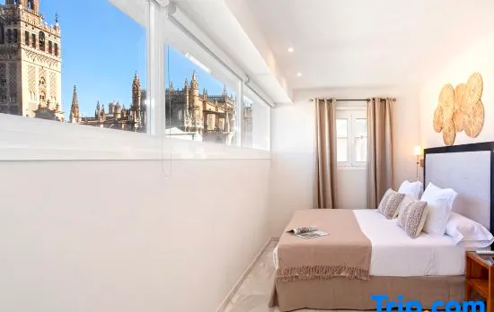Apartment with Cathedral views. Constitución IV
