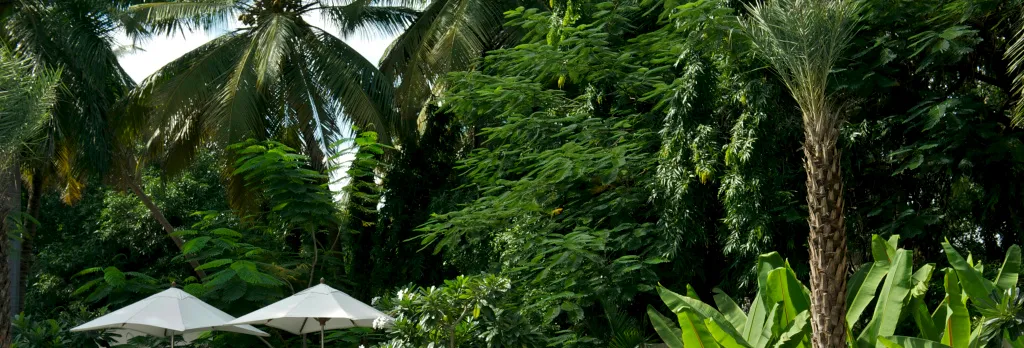 Taj Coromandel, Chennai