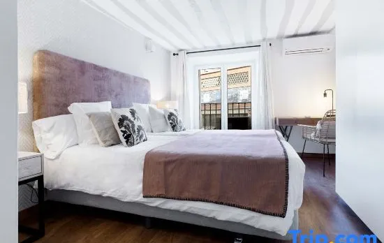 Luxury apartment near La Latina.Plaza de la Cebada