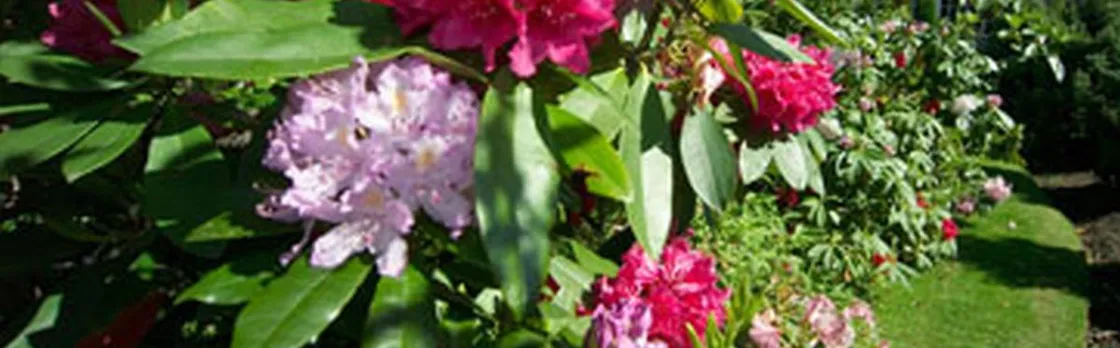 Dalmeny Park Country House Hotel Gardens
