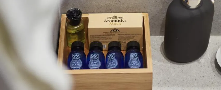 Artemis Suite at Acropolis Historic Center