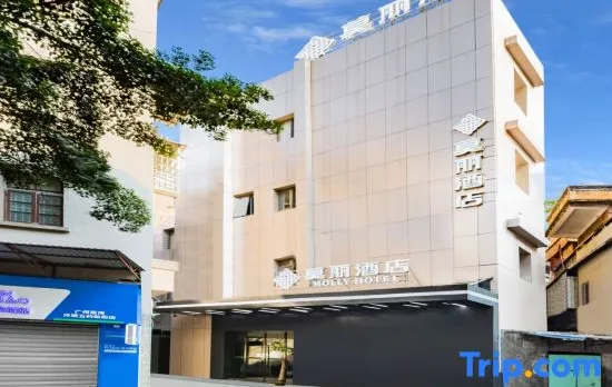 Moli Hotel (Guangzhou Yongqingfang Zhongshan 8th Road Subway Station)