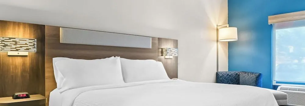 Holiday Inn Express & Suites Detroit-Novi