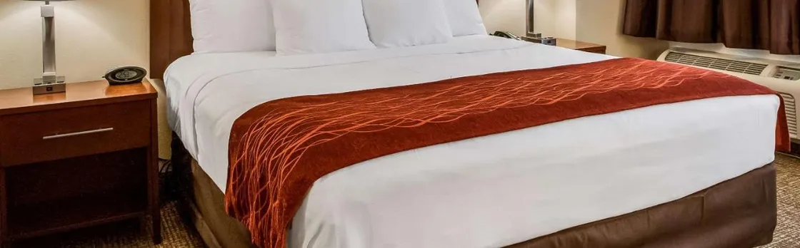 Comfort Inn & Suites at Copeland Tower
