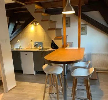 Appartement Duplex 2a Rue dAlspach