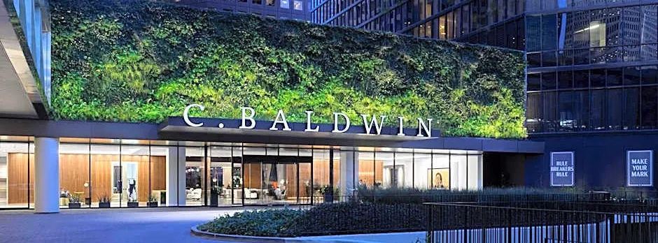 C. Baldwin, Curio Collection by Hilton