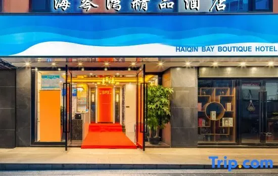 Shenzhen North Station Haiqinwan Hotel (Hong Shan Railway Station)