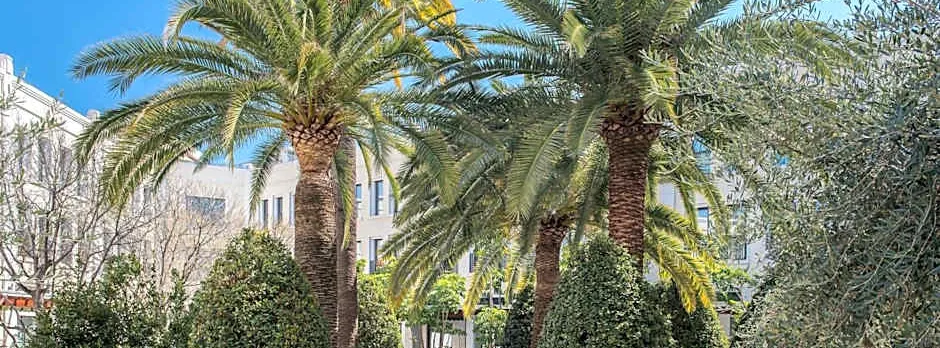 The Westin Valencia